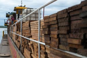 Nueva medida para exportar cedro exige declarar stock hasta el 28 de agosto