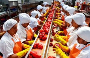 Nueva planta de AIB le permitirá brindar servicios a terceros