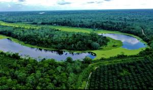 Ocho Sur: Comunidad Nativa Santa Clara de Uchunya fortalece relaciones con productor de palma