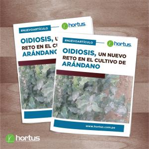 Oidiosis, un nuevo reto a controlar en el cultivo de arándano
