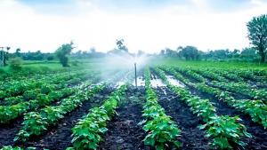 Olmos asegura agua para el agro y las exportaciones