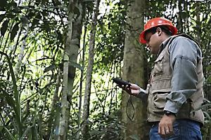 Osinfor aprueba nuevo reglamento para la supervisión de los recursos forestales y de fauna silvestre