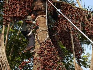 <span class='highlight'></span>P<span class='highlight'></span>a<span class='highlight'></span>c<span class='highlight'></span>a<span class='highlight'></span>y<span class='highlight'></span>a<span class='highlight'></span> <span class='highlight'></span>S<span class='highlight'></span>a<span class='highlight'></span>m<span class='highlight'></span>i<span class='highlight'></span>r<span class='highlight'></span>i<span class='highlight'></span>a<span class='highlight'></span>:<span class='highlight'></span> <span class='highlight'></span>S<span class='highlight'></span>e<span class='highlight'></span>r<span class='highlight'></span>n<span class='highlight'></span>a<span class='highlight'></span>n<span class='highlight'></span>p<span class='highlight'></span> <span class='highlight'></span>y<span class='highlight'></span> <span class='highlight'></span>c<span class='highlight'></span>o<span class='highlight'></span>m<span class='highlight'></span>u<span class='highlight'></span>n<span class='highlight'></span>i<span class='highlight'></span>d<span class='highlight'></span>a<span class='highlight'></span>d<span class='highlight'></span>e<span class='highlight'></span>s<span class='highlight'></span> <span class='highlight'></span>s<span class='highlight'></span>u<span class='highlight'></span>s<span class='highlight'></span>c<span class='highlight'></span>r<span class='highlight'></span>i<span class='highlight'></span>b<span class='highlight'></span>e<span class='highlight'></span>n<span class='highlight'></span> <span class='highlight'></span>a<span class='highlight'></span>c<span class='highlight'></span>u<span class='highlight'></span>e<span class='highlight'></span>r<span class='highlight'></span>d<span class='highlight'></span>o<span class='highlight'></span>s<span class='highlight'></span> <span class='highlight'></span>p<span class='highlight'></span>a<span class='highlight'></span>r<span class='highlight'></span>a<span class='highlight'></span> <span class='highlight'></span>a<span class='highlight'></span>p<span class='highlight'></span>r<span class='highlight'></span>o<span class='highlight'></span>v<span class='highlight'></span>e<span class='highlight'></span>c<span class='highlight'></span>h<span class='highlight'></span>a<span class='highlight'></span>r<span class='highlight'></span> <span class='highlight'></span>a<span class='highlight'></span>g<span class='highlight'></span>u<span class='highlight'></span>a<span class='highlight'></span>j<span class='highlight'></span>e<span class='highlight'></span>