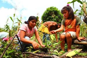 Países de la región impulsan agenda que aborda la agricultura familiar campesina e indígena desde la inocuidad alimentaria