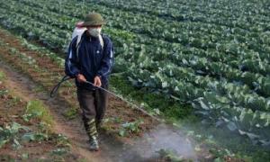 Países son más estrictos con manejo de residuos de pesticidas