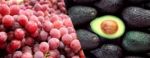 Palta, uva, espárrago, cacao y jengibre entre los productos de agroexportación con mejor desempeño entre enero y septiembre de 2023