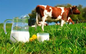 Pandemia por Covid-19 eleva pronósticos de ventas de productos lácteos a nivel mundial 