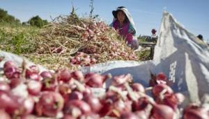 PBI agropecuario habría crecido 2.5 % en octubre