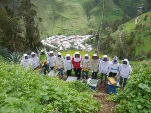 Pequeños productores de Áncash se capacitan en apicultura