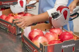 Perú aún está lejos de explotar el potencial de venta de sus frutas y hortalizas frescas en Norteamérica, Europa y Asia