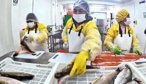 Perú busca aprovechar segmentos dejados por productores de trucha de Chile y consolidarse en Japón