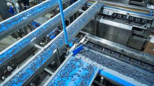 Perú buscará concretar 16 nuevos accesos para sus productos agropecuarios en 2026