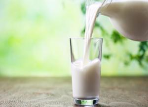Perú congregará a más de 150 expertos internacionales en el estudio de la proteína de la leche