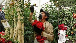 Perú conmemora el "Día Nacional de las Flores"
