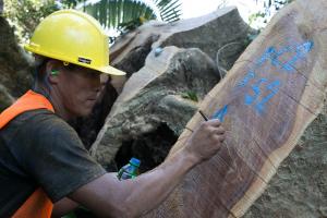 Perú contará con sistema de información en línea que permitirá acreditar origen legal de la madera