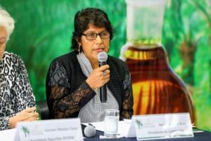 Perú debe contar con 250 mil hectáreas de palma aceitera para cubrir el mercado nacional