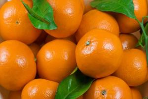 Perú es el primer exportador de mandarinas en América