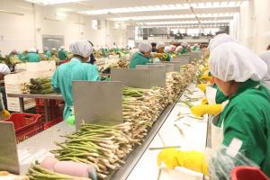 Perú es uno de los dos países de Sudamérica con exportaciones en crecimiento este año