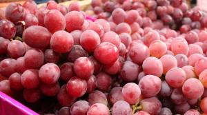 Perú exportaría 62.5 millones de cajas de uva en la campaña 2021/2022