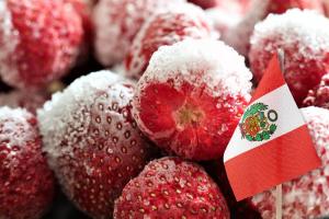 Perú exportó 1.166 toneladas de fresas en las primeras tres semanas de febrero de 2024
