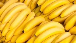 Perú exportó 142.139 toneladas de banano fresco en lo que va de la actual campaña
