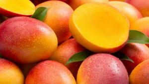 Perú exportó 203.848 toneladas de mango fresco por US$ 264 millones en el 2023