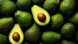 Perú exportó 565.877 toneladas de palta por más de US$ 1.200 millones entre enero y octubre de 2024