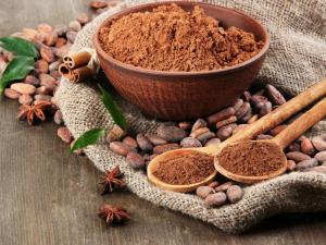 Perú exportó cacao en polvo por casi US$ 24 millones entre enero y septiembre de 2022