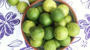 Perú exportó limón sutil por US$ 2.5 millones entre enero y noviembre de 2022