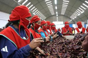 Perú exportó paprika entera por más de US$ 84 millones en 2021