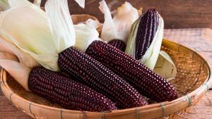 Perú exportó US$ 2.4 millones en maíz morado durante 2025