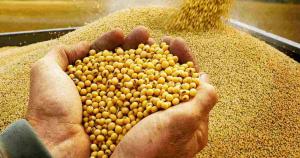 Perú importa más de US$ 6.5 millones en harina de soya de Bolivia