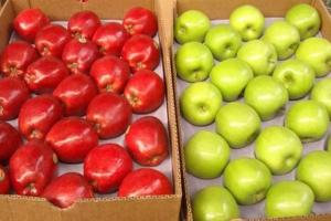 Perú importó manzanas por US$ 4.5 millones en el primer bimestre de 2020
