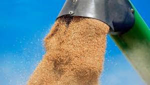Perú importó trigo por US$ 188 millones en los primeros cuatro meses de 2021