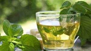 Perú incrementa notablemente su exportación de té verde