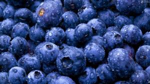 Perú lidera producción mundial de arándanos