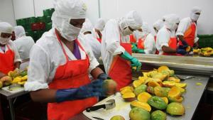 Perú logra el mayor crecimiento en productividad laboral entre las economías de América Latina