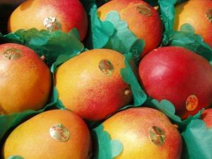 Perú logró exportaciones de mangos por más de US$ 190 millones en el 2017
