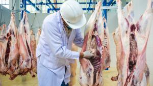 Perú mejorará oferta de alimentos cárnicos inocuos con 124 mataderos autorizados