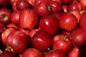 “Perú no cuenta con una nueva variedad de manzana hace más de 40 años”