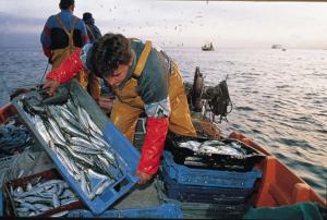 Perú presidirá Comité del Año Internacional de Pesca Artesanal y Acuicultura 2022