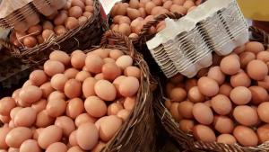 Perú produjo 510.962 toneladas de huevos en 2022
