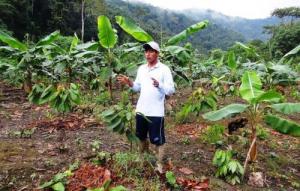 Perú promoverá en el exterior café y cacao de zonas excocaleras