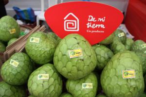 Perú puede ser puerta de entrada para inversiones asiáticas en Sudamérica