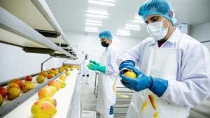 Perú se prepara a exportar fruta congelada a China