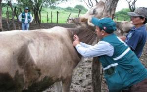 Perú suspenderá importación de carnes de Colombia por brote de fiebre aftosa