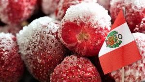 Perú tiene potencial para igualar a Egipto y Polonia en exportación de fresas congeladas