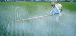 Perú utilizará software para evaluar el riesgo de plaguicidas en agua