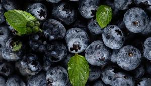 Perú viene sumando aproximadamente 3.000 hectáreas de arándanos nuevas por año