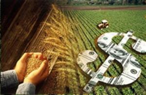 Perú y otros 18 miembros de la OMC se comprometen a reducir subsidios agrícolas en 50% al 2030